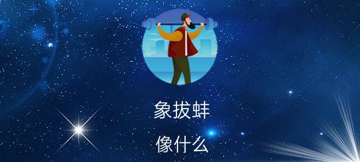 象拔蚌 像什么(象拔蚌长什么样子)